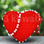 Dilruba - Image 2