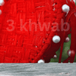 Dilruba - Image 4
