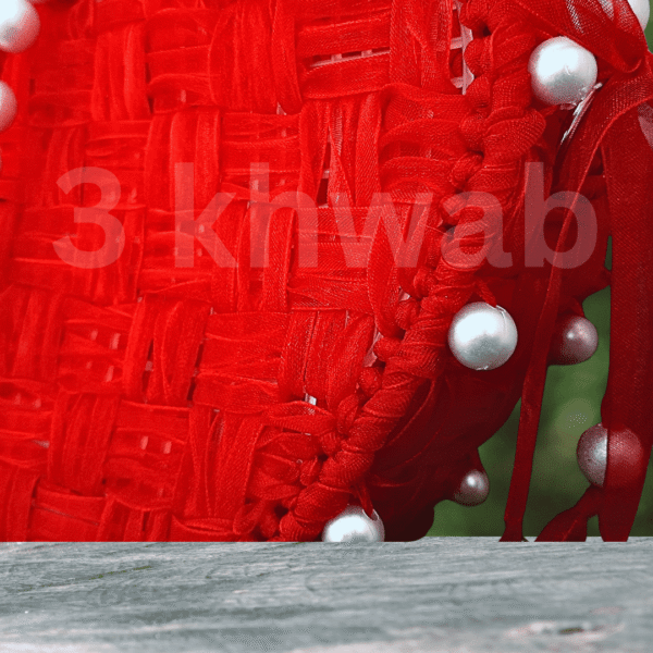 Dilruba - Image 4