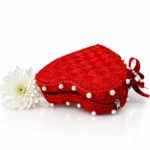 Dilruba - Image 3